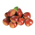 2015 Fresh Chinese Chestnuts with High Exporting Quality